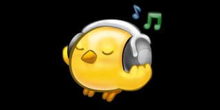 YouTube Song Downloader logo